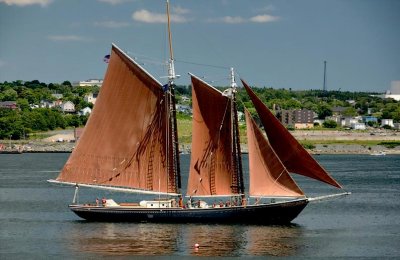 Rust Colored Sails