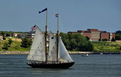 Under Sail