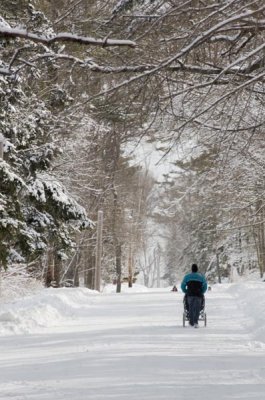 Snowy Walk