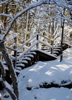 Snowy Steps