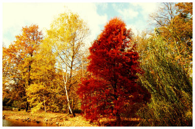 autumn park 2