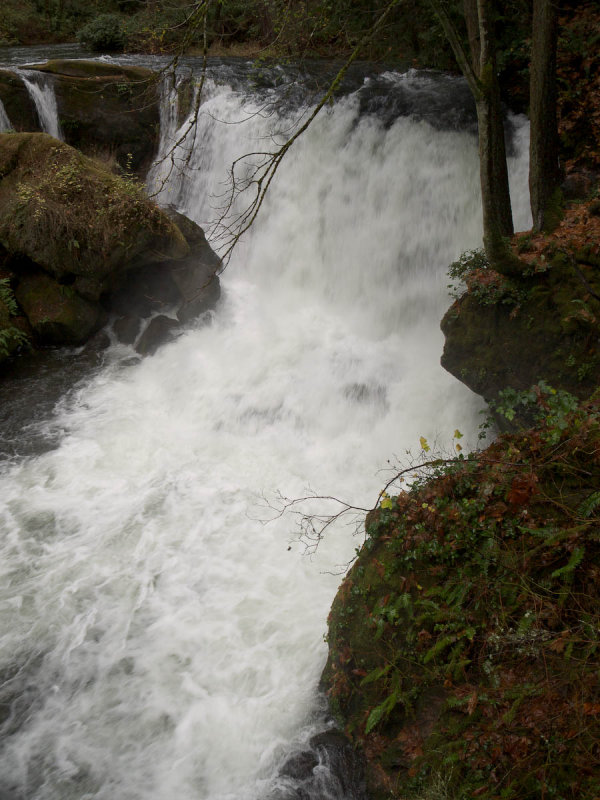 AMC_0811141825_G11000259.jpg