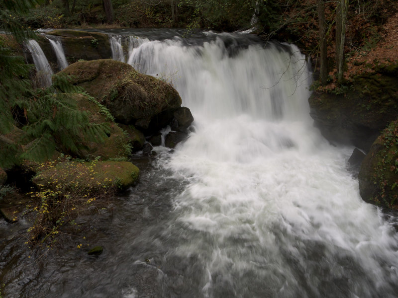 AMC_0811141827_G11000266.jpg