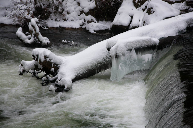 AMC_081221_5D1239.jpg
