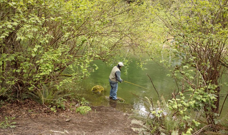 Solitary Fisherman
