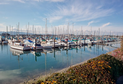 Bellingham Bay Marina