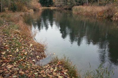 Derby Pond