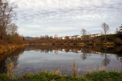 Sunset Pond