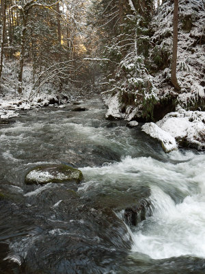 Whatcom Creek