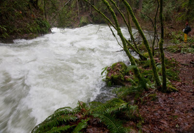 Whatcom Falls