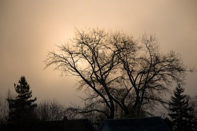 Sun behind the Fog