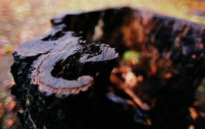 tp013.JPG