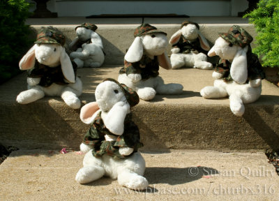 Army Bunnies