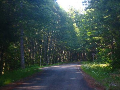 On the goat trail