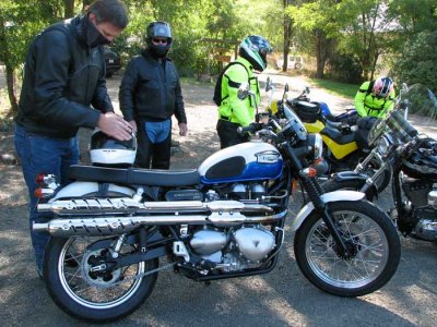 Sweet Scrambler