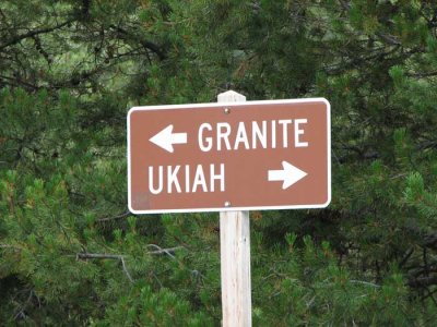 Hmmm...which way to go