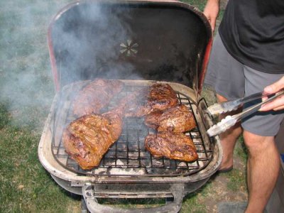 Mmm...grilled meat