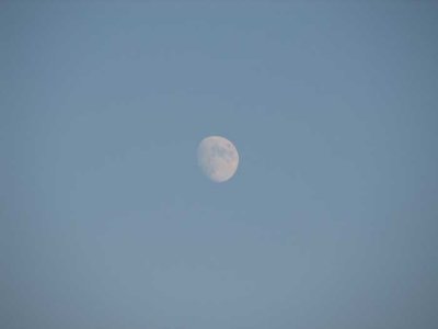 Fossil moon