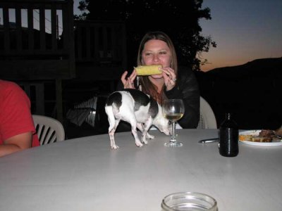 Yep...that's a dog on the table