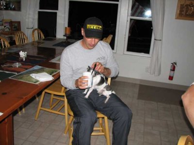 Randy loves chihuahuas