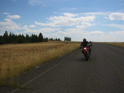 Ripping FR52