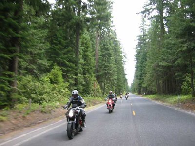 Randy & Hashed following