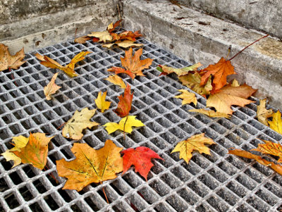 October Colors