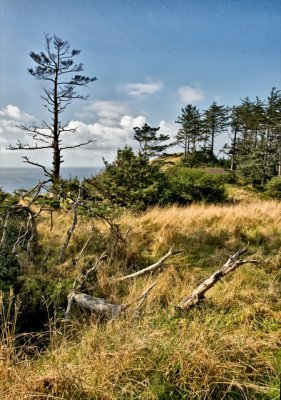 Ecola Point