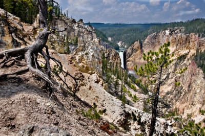 Yellowstone Falls