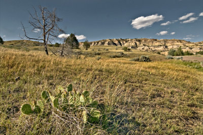 Theodore Roosevelt National Park, North Unit