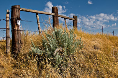 North Dakota, Along the Endless Road