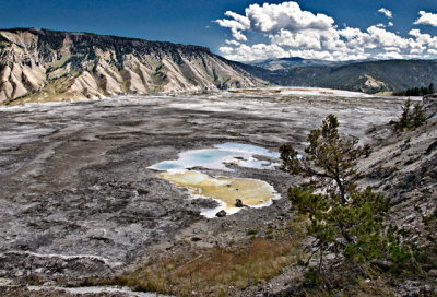 Mammoth Hot Springs