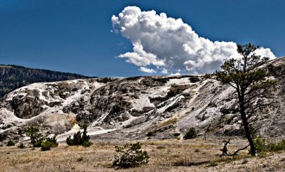 Mammoth Hot Springs