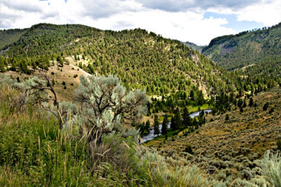 Overlooking Lamar River