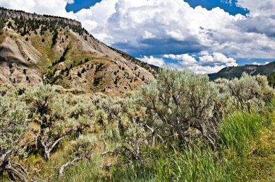 Near the Lamar River