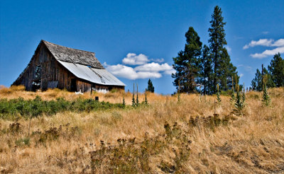 Old Barn, Western Montana
