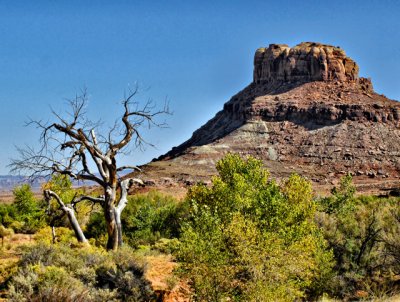 Near Canyonlands