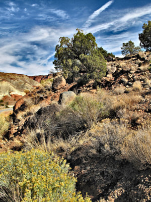 Tree, Red Rocks, & Contrail
