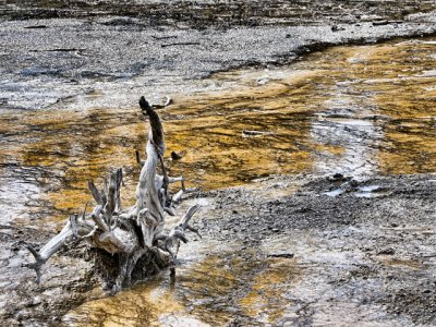 Geothermal Pool