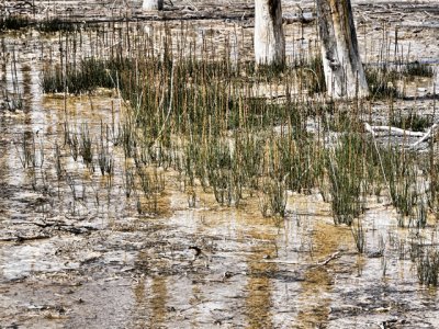 Geothermal Pool