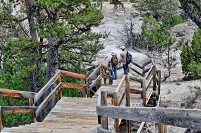 Mammoth Hot Springs