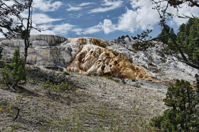 Mammoth Hot Springs
