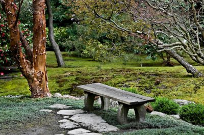 Bench & Madrona Bark