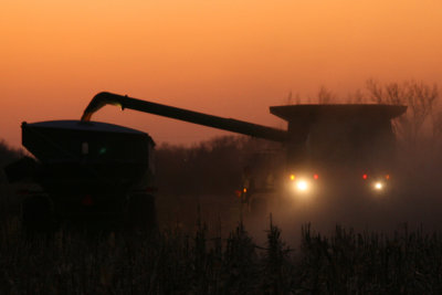 g1/93/295593/3/106277666.pea4dIAw.jpg