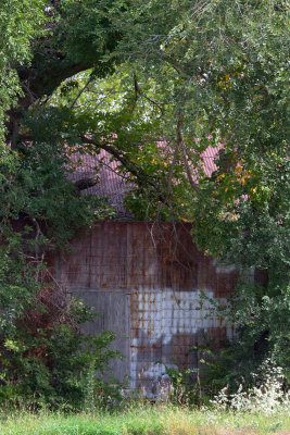 Elmdale  09.jpg