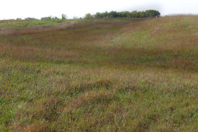 Flint Hills   01.jpg