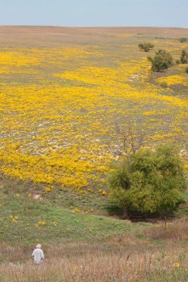 Flint Hills   08.jpg