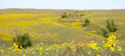 Flint Hills   09b.jpg