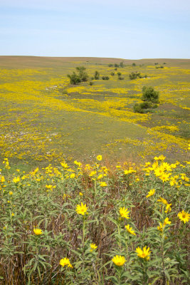 Flint Hills   09c.jpg
