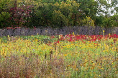 Flint Hills   12.jpg